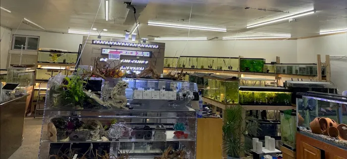 Danbury Aquarium and supplies Picture 1