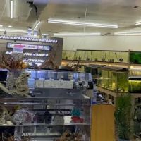 Danbury Aquarium and supplies ico