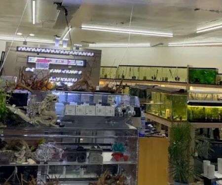 Danbury Aquarium and supplies