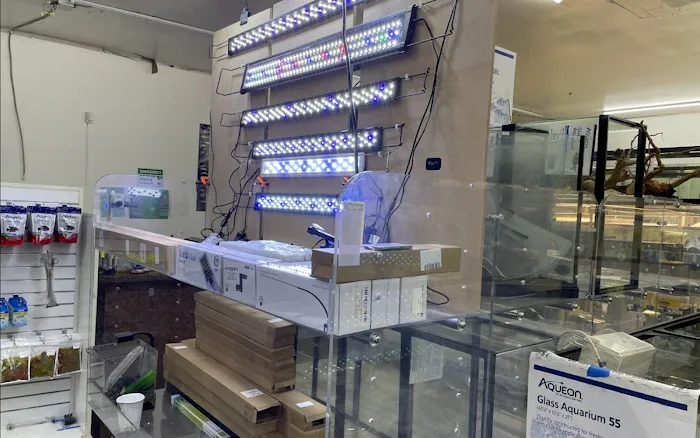 Danbury Aquarium and supplies Picture 5