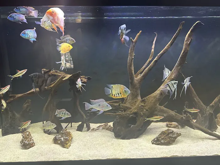 Danbury Aquarium and supplies Picture 9
