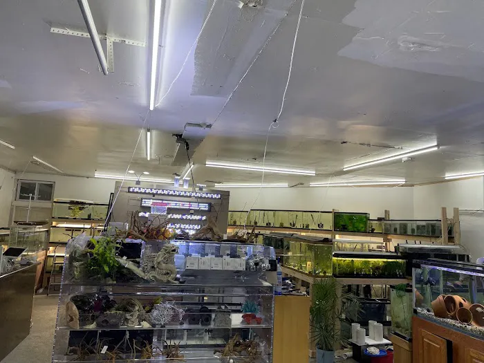 Danbury Aquarium and supplies Picture 8