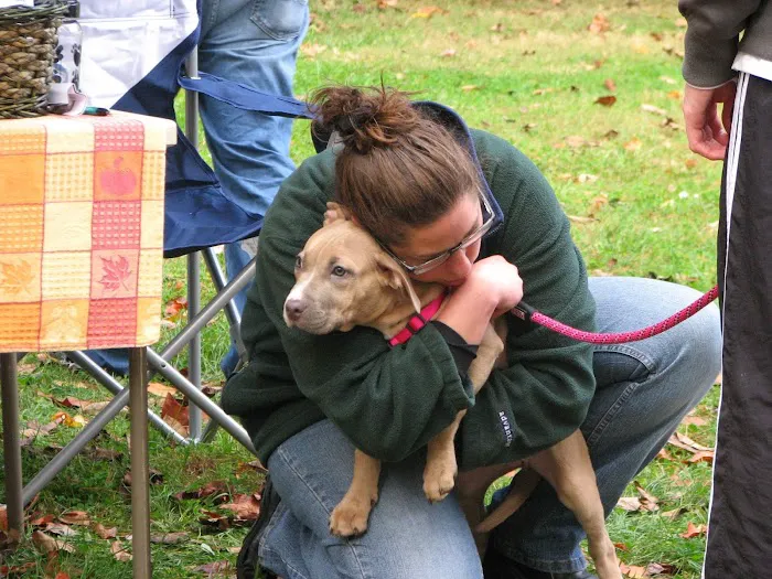 Schwenksville Veterinary Hospital Picture 2