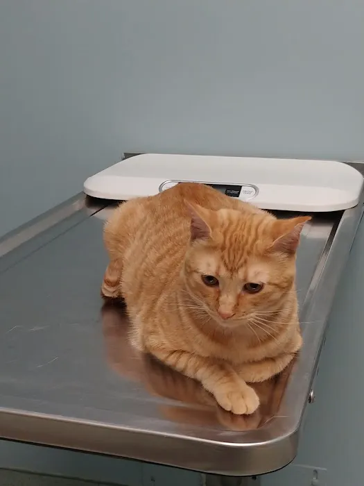 Schwenksville Veterinary Hospital Picture 1
