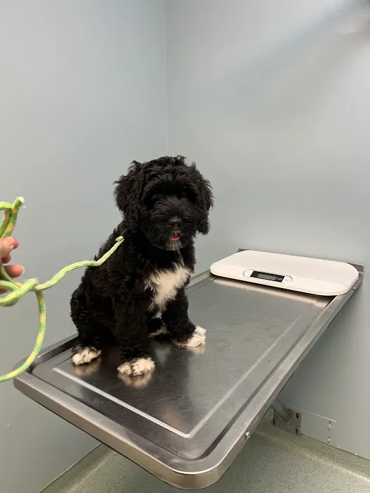 Schwenksville Veterinary Hospital Picture 6