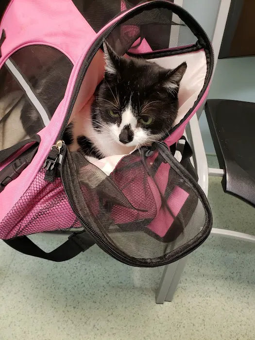 Schwenksville Veterinary Hospital Picture 7