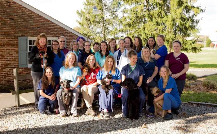Limerick Veterinary Hospital Picture 1
