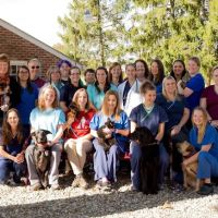 Limerick Veterinary Hospital ico