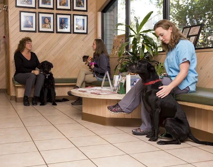 Limerick Veterinary Hospital Picture 4