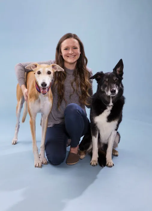 Limerick Veterinary Hospital Picture 7