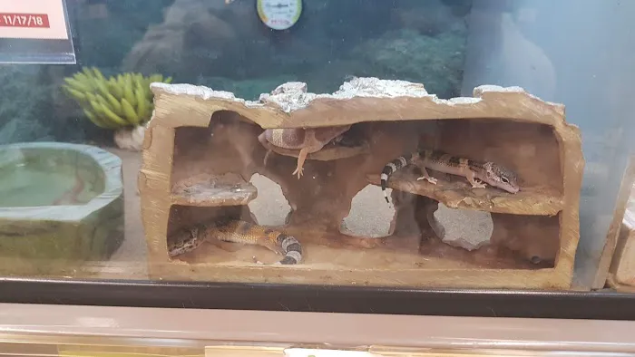 Petco Picture 4