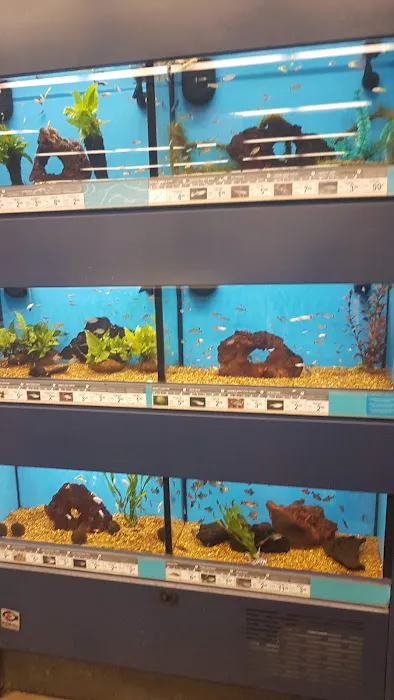 Petco Picture 7
