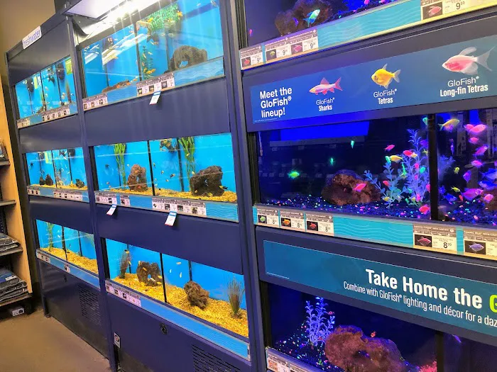 Petco Picture 10
