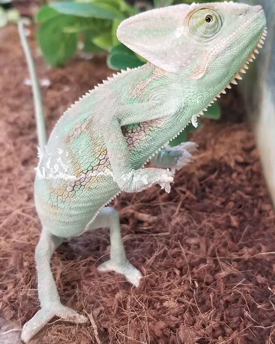 Petco Picture 2