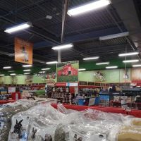 Petco ico
