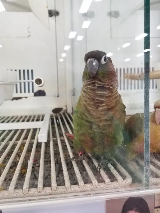 Petco Picture 5