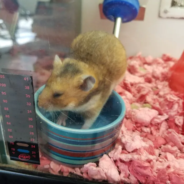 Petco Picture 6