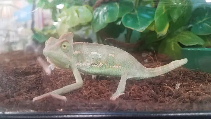Petco Picture 7