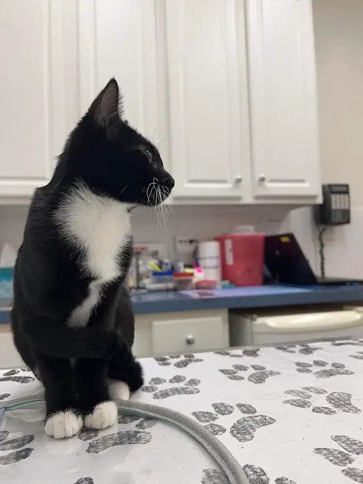 Piper Veterinary Clinic Picture 2