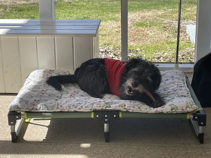 Piper Veterinary Clinic Picture 8
