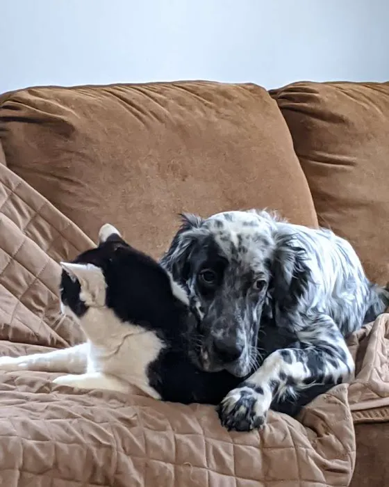 Piper Veterinary Clinic Picture 10
