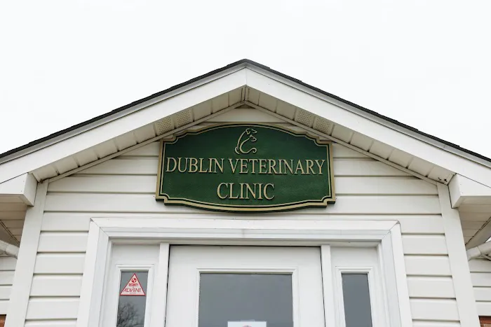Dublin Veterinary Hospital Picture 10