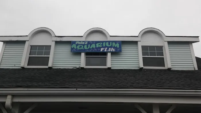 Pete's Aquariums & Fish Picture 2