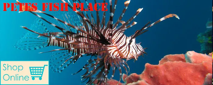 Pete's Aquariums & Fish Picture 1