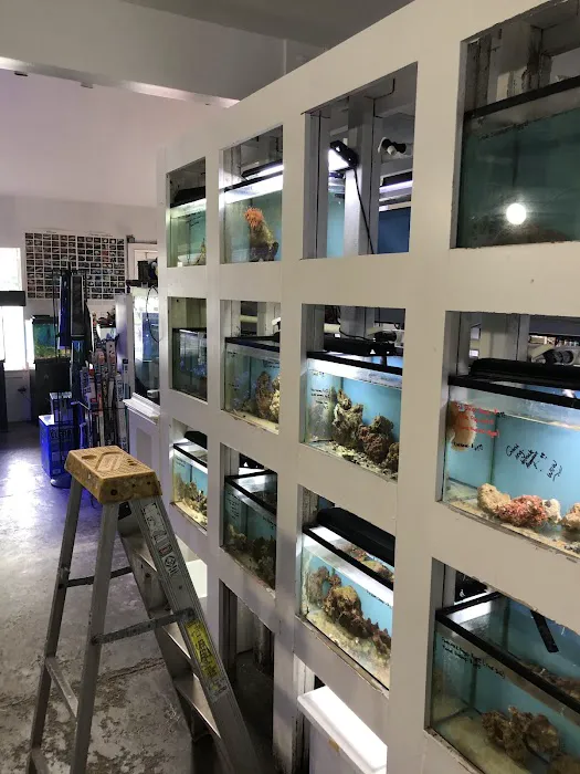 Pete's Aquariums & Fish Picture 3