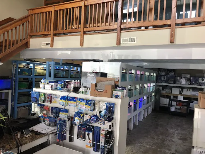 Pete's Aquariums & Fish Picture 6