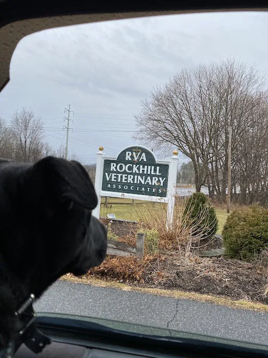 Rockhill Veterinary Associates Picture 2