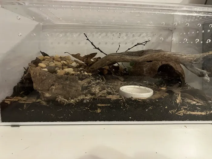 Animabilia Inc. Picture 8