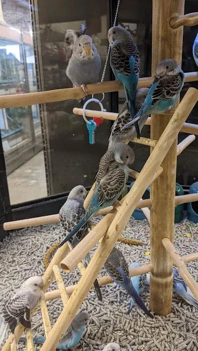 Petco Picture 1