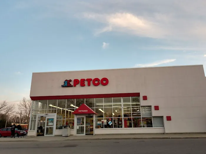 Petco Picture 3