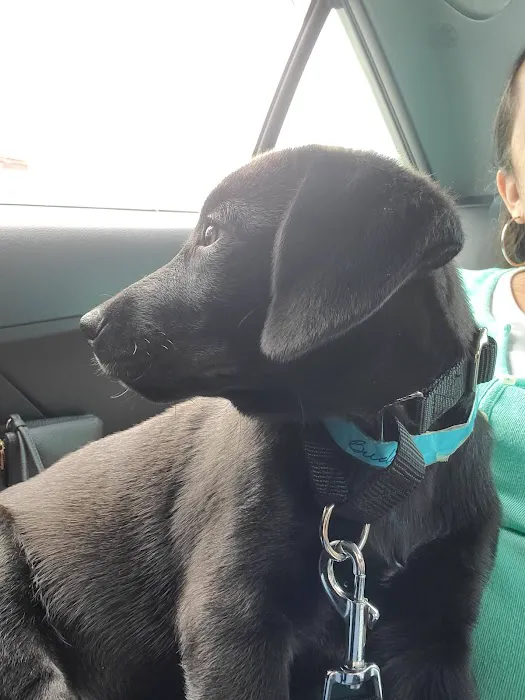 Petco Picture 4