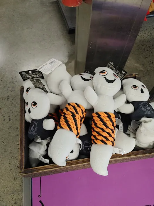 Petco Picture 6