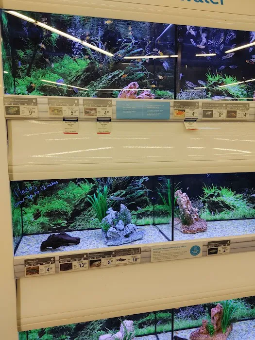 Petco Picture 10