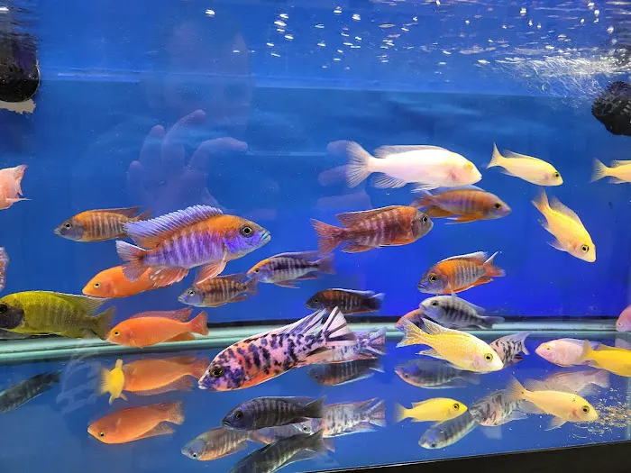 Aquarium Solutions 101 Picture 5