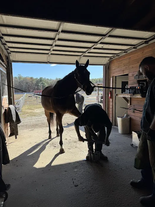 East Coast Hoof and Wellness Center Picture 3