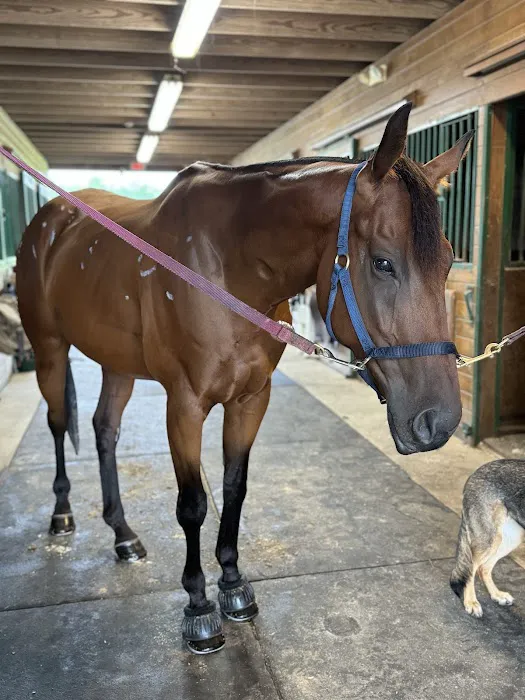 East Coast Hoof and Wellness Center Picture 1