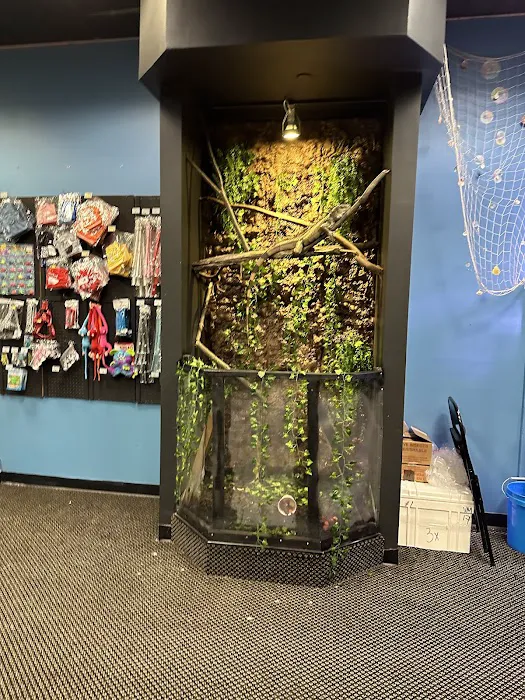 E & J Pet Shop LLC Picture 3