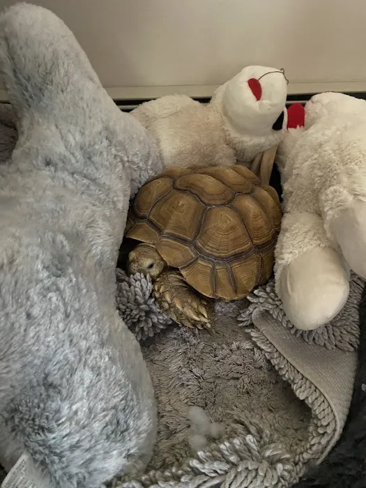 E & J Pet Shop LLC Picture 2