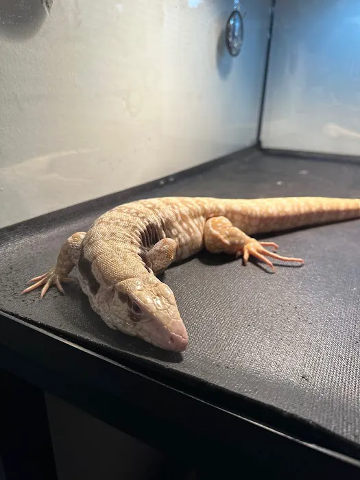 E & J Pet Shop LLC Picture 1