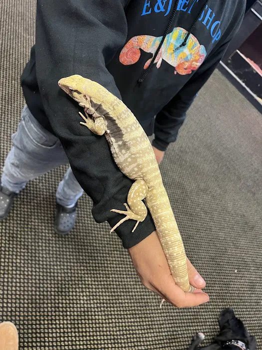 E & J Pet Shop LLC Picture 9
