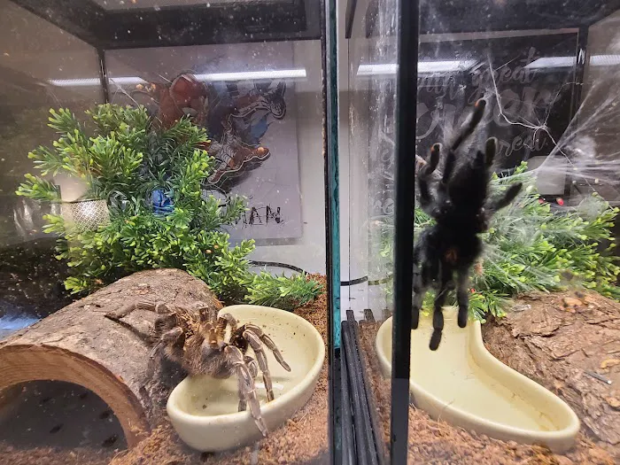 Petco Picture 3