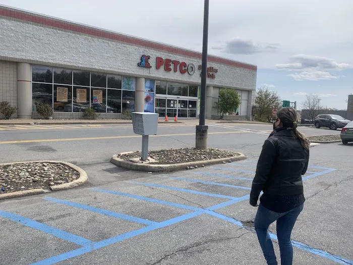 Petco Picture 2