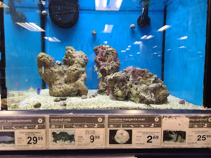 Petco Picture 7