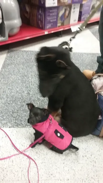 Petco Picture 9