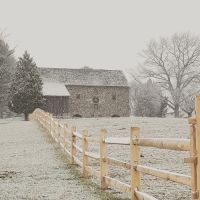 Clay Creek Equine Veterinary Services, LLC ico