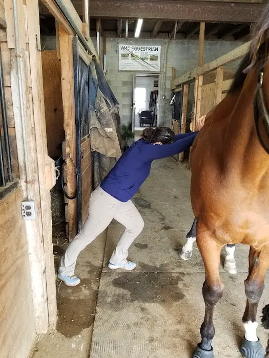 Clay Creek Equine Veterinary Services, LLC Picture 5